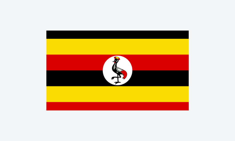 Untitled design - 2025-09-01T155443.575