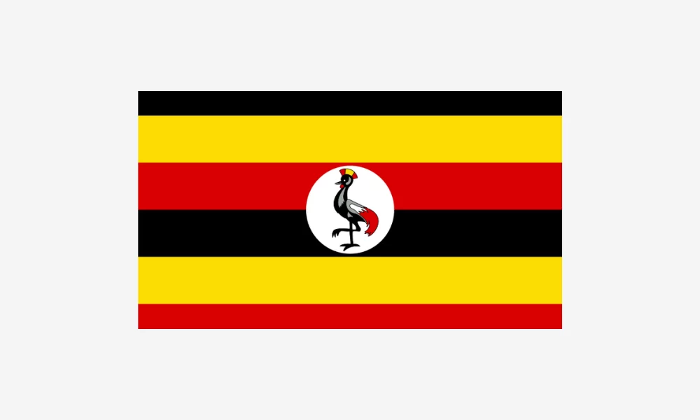 Untitled design - 2025-09-01T155443.575